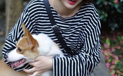 女人公敌第三集